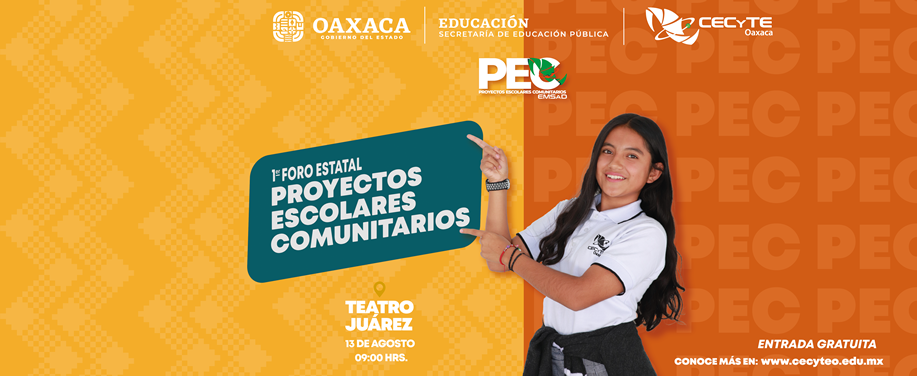 Imagen de Cecyte Principal